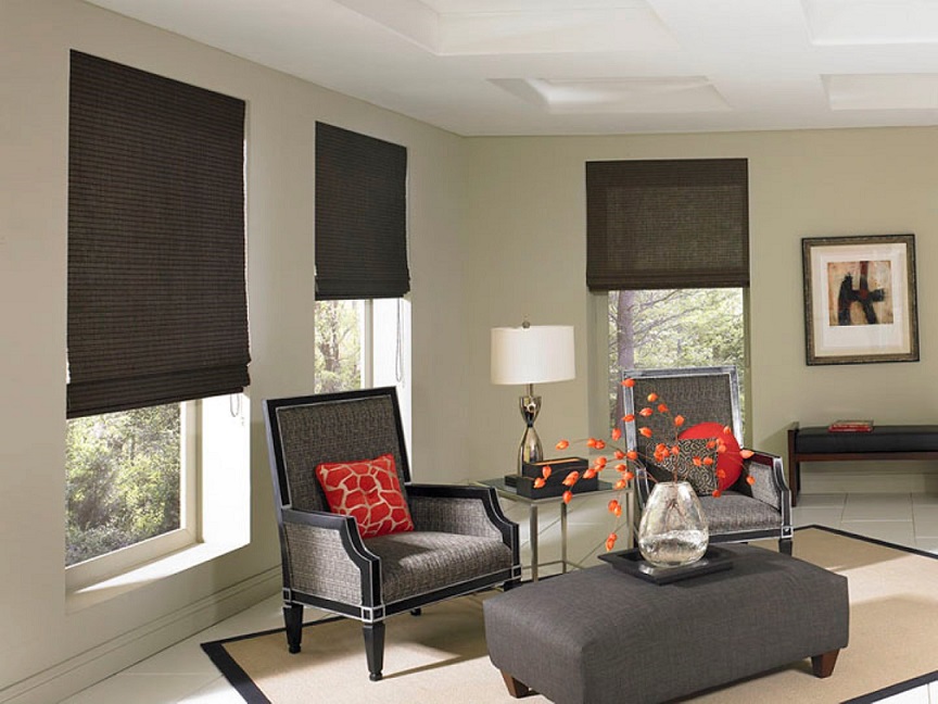 Window Treatments And Installation Budget Blinds Of Martinsburg Wv