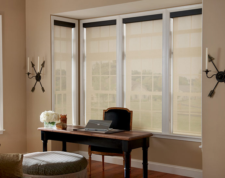 Reasons Boise Hunter Douglas Are A Necessity For Your Windows