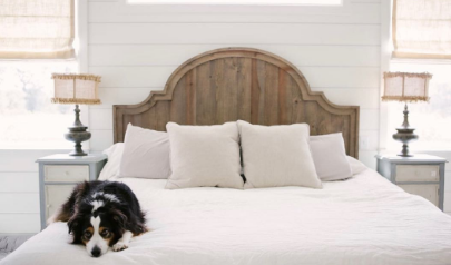 https://budgetblinds.com/siteassets/national-pages/national-blog/5-tips-to-create-a-safe-pet-friendly-space-in-your-home/dog-roman-shades-bedroom-pg-image.png