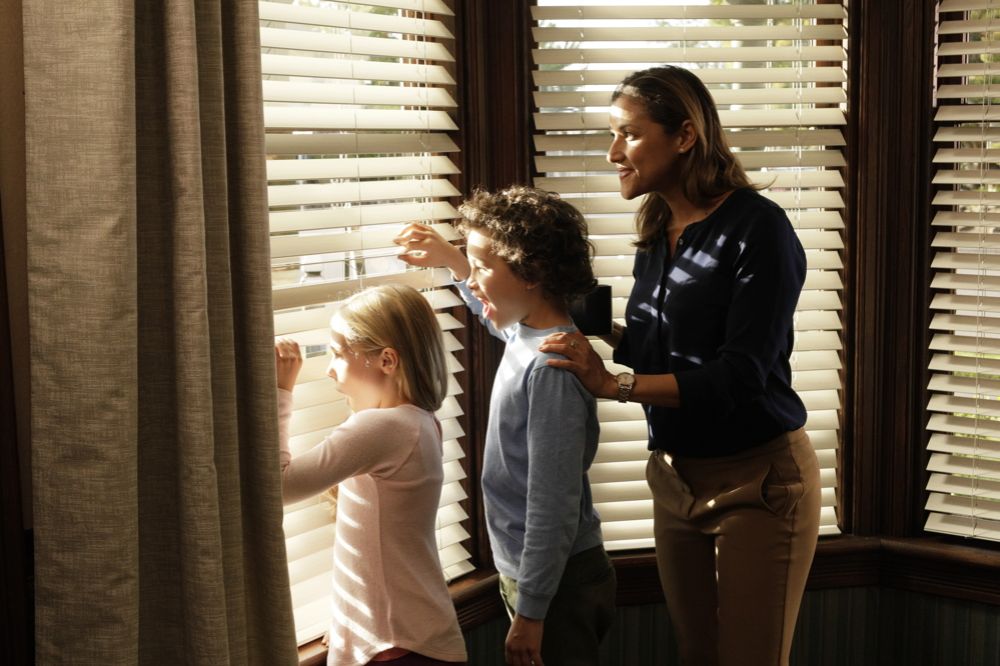 Faux Wood Blinds in Entryway