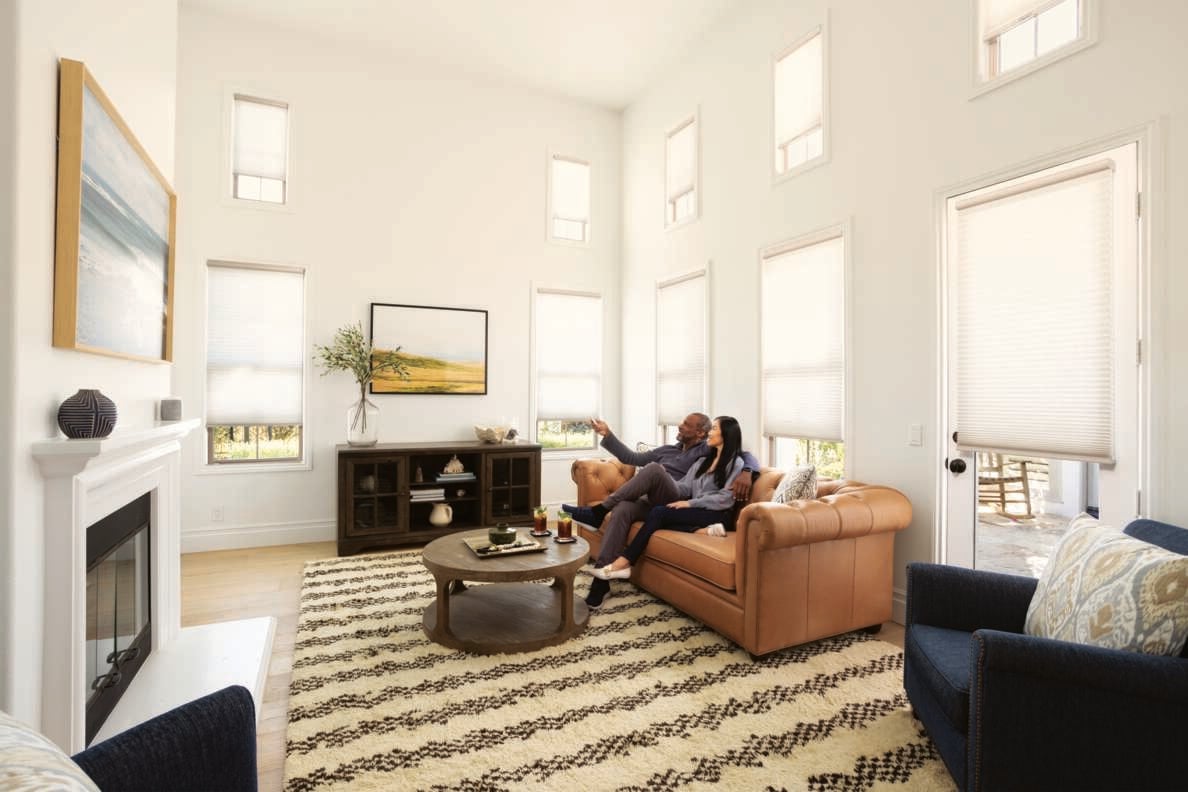 Cellular Shades Living Room Signature Series Rug Momeni (1)-1188x792 (1).jpg