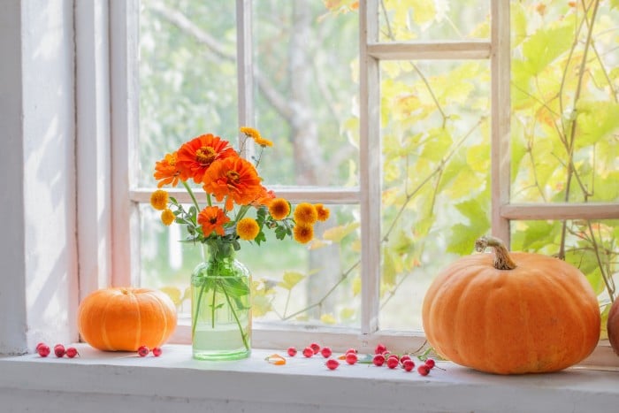 Picking Window Treatments