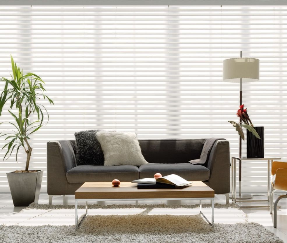 Fabric Blinds in Living Room