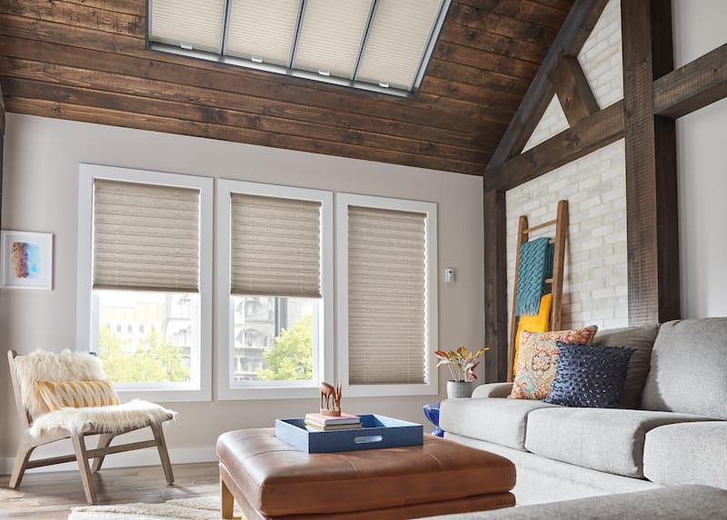 pleated-shades-living-room-signature-series (1).jpg