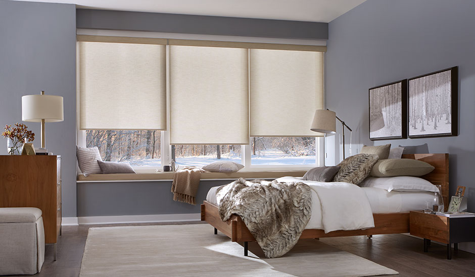 Custom Roller Shades Privacy Shades Motorized Roller